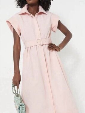 Tuckernuck Pink Salt Chloe Midi Dress XL Belted A-Line Shirt Button Up Collar